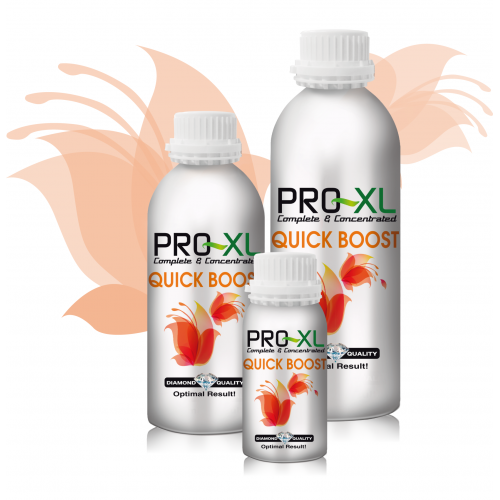 Quick Boost Pro XL Pro-XL Produits