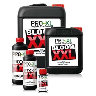 Bloom XXL Pro XL Pro-XL Produkte