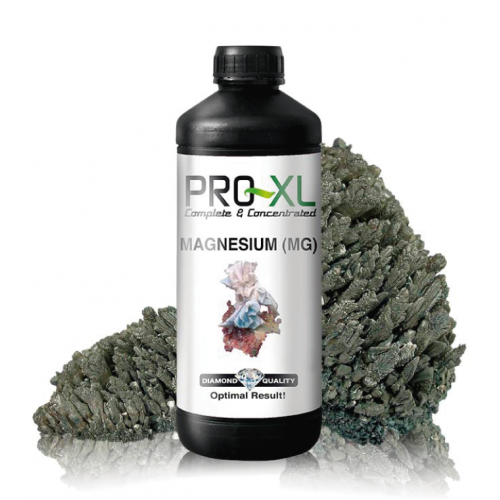 Magnesio Pro XL 1l Pro-XL Prodotti