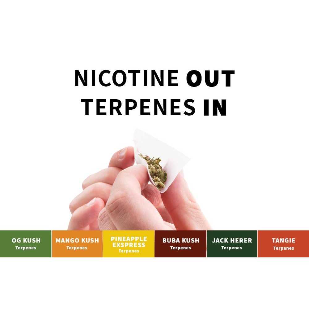 Substitut de tabac OG Kush de Real Leaf Real Leaf Produits