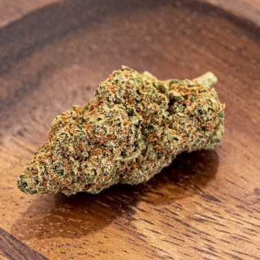 LBV "Grape" 2.0 Indoor CBD LBV Cannabis légal