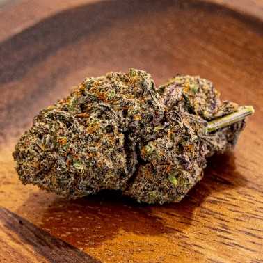 LBV "Purple Hurkle" Indoor CBD LBV Cannabis légal
