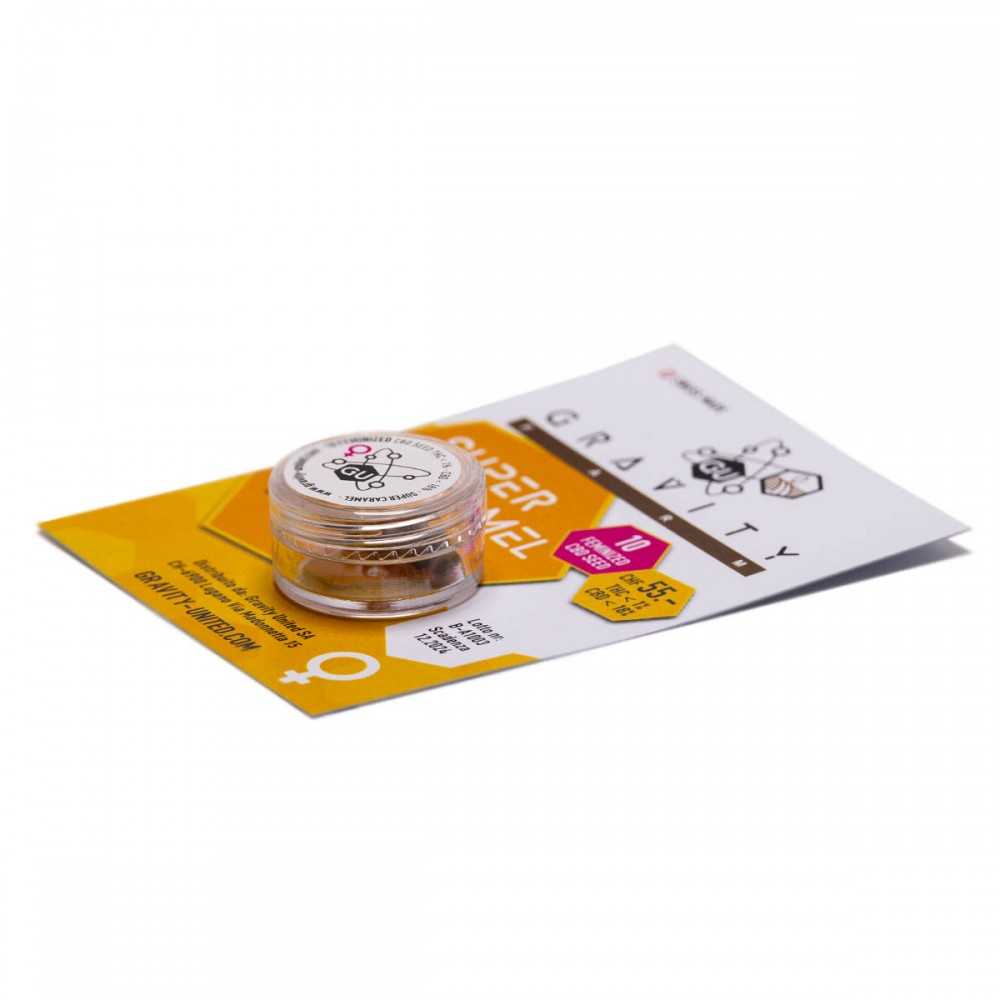 Graine de CBD Gravity United "Super Caramel" (10 pièces) Gravity united Graines de CBD