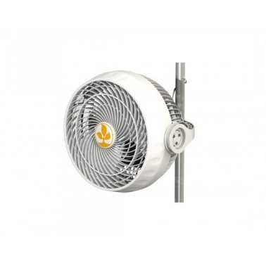 Monkey Fan 30W Ball Bearing Secret Jardin Secret Jardin  Products
