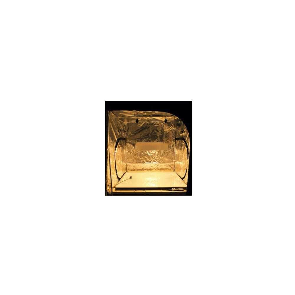 Vassoio dell'acqua WTW Secret Jardin Secret Jardin  Prodotti