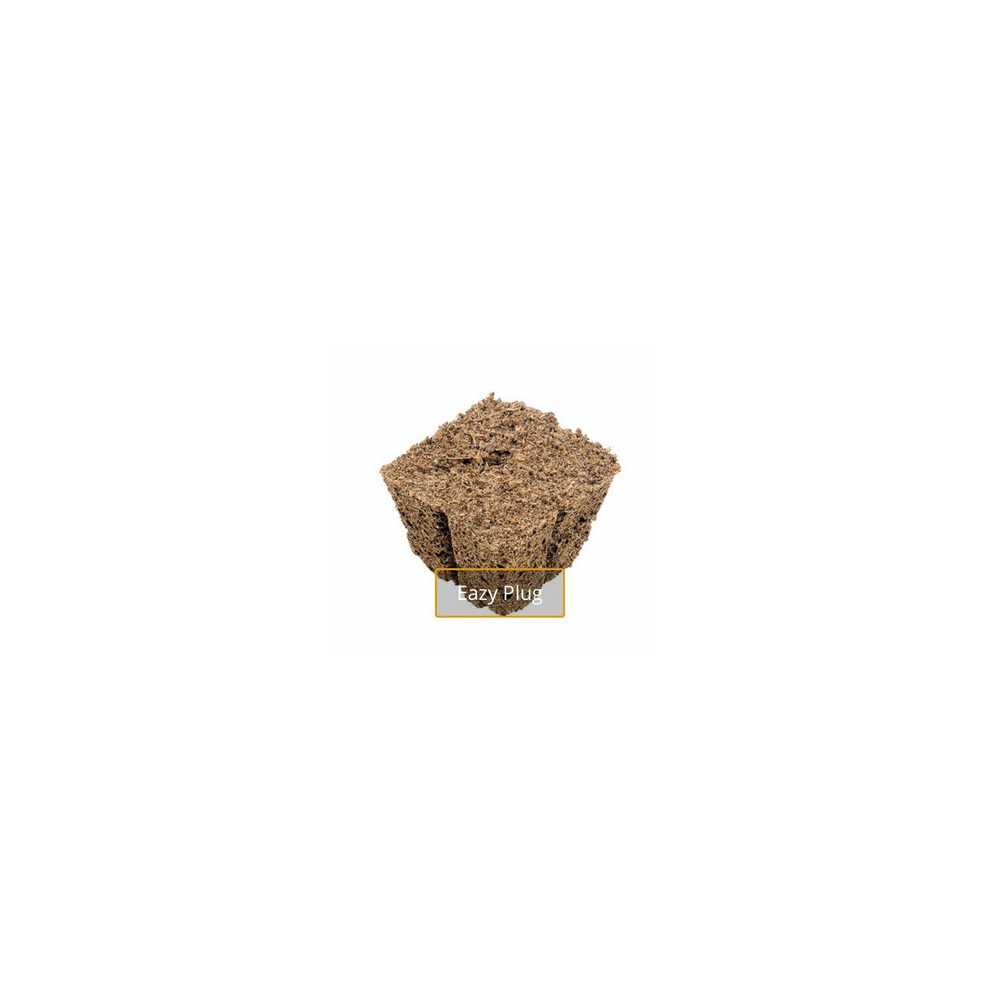 Eazy Plug CT77 Tampons Eazy Plug Produits