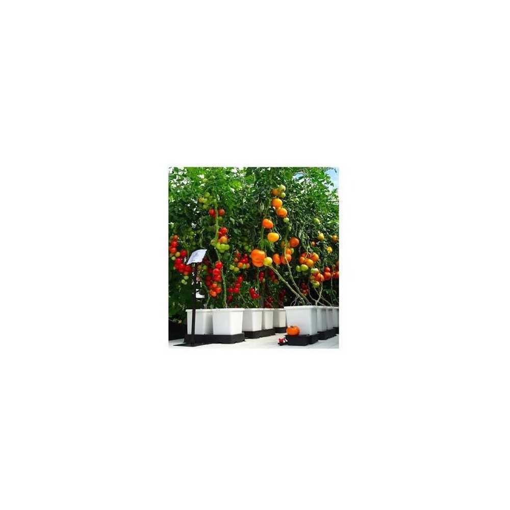 WhitePot 15L Autopot Produkte