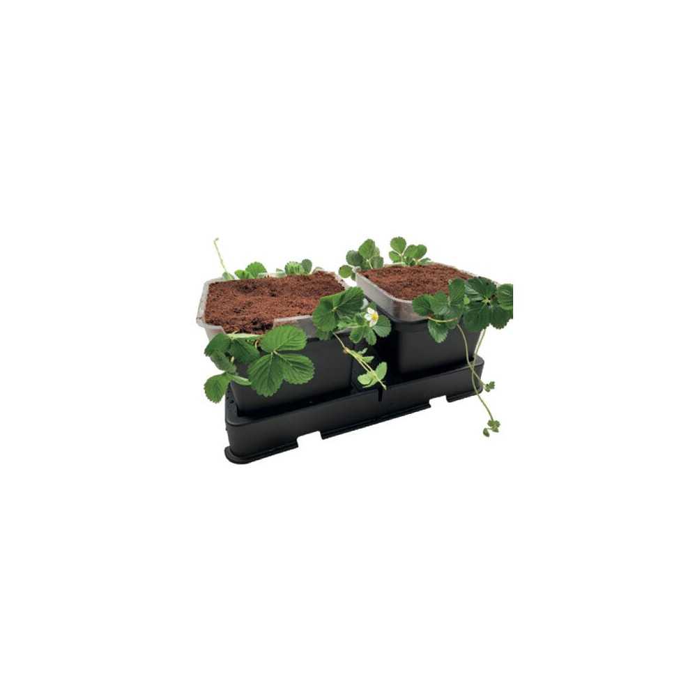 Support Fraisier Autopot Produits