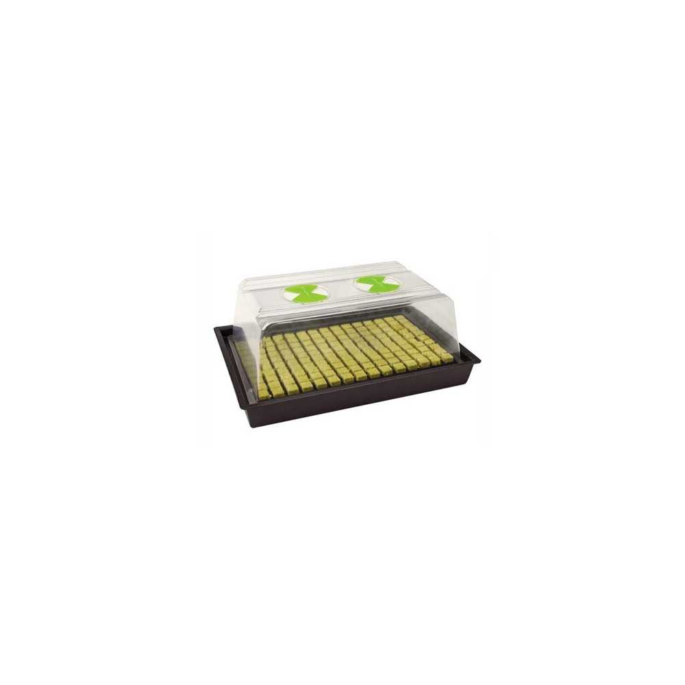 X-Stream Heat Propagator Small/Large Nutriculture  Produits