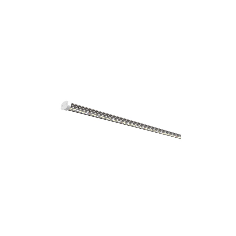 Crystalor LED LM 80W 4000K 2.5 crystalor Produits