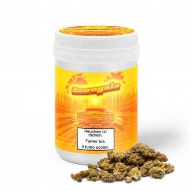 CBD-Blüten Box LBV "Orangelo" 2.0 Indoor 50g LBV CBD-Blüten und Hash