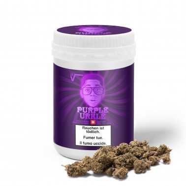 Scatola o ricarica LBV "Purple Urkle" 2.0 Indoor CBD 50g LBV Cannabis legale