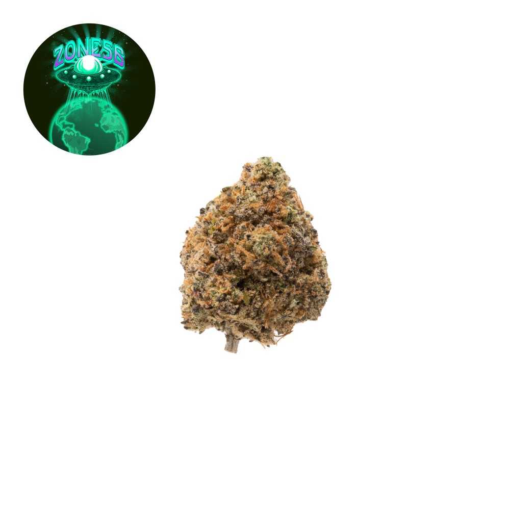 Fleurs de CBD Box LAID BACK "ZONE 56" 2.0 Indoor 50g LBV Fleurs et Hash de CBD