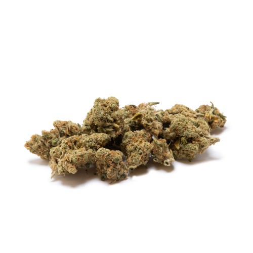 LBV "Amnesia Haze" Indoor CBD 1g LBV Cannabis légal