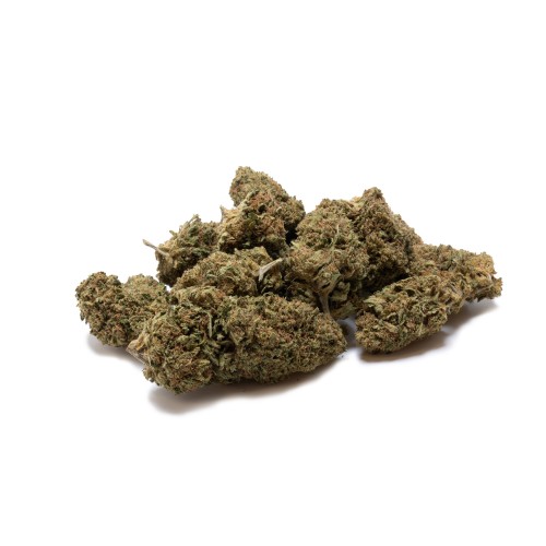 LBV "Cali Kush" Greenhouse CBD LBV Cannabis légal