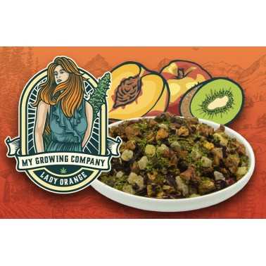 INFUSO PESCA KIWI & CANNABIS SATIVA L. MGC My Growing Company Tè e infusi