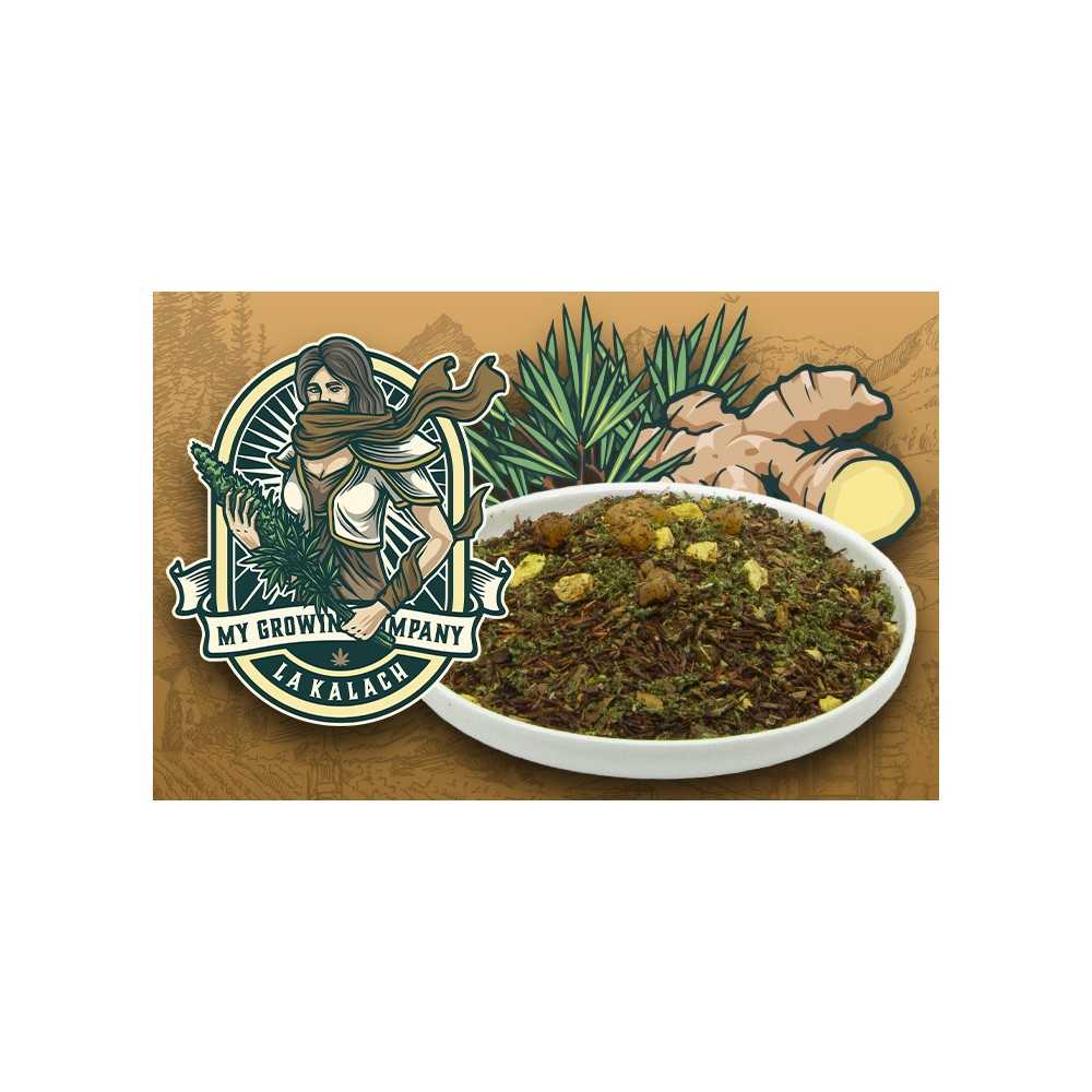 ROOIBOS GINGER & CANNABIS SATIVA L. MGC My Growing Company Teas and Infusions