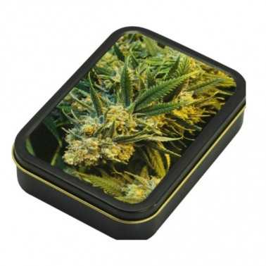Square box - Weeds Products