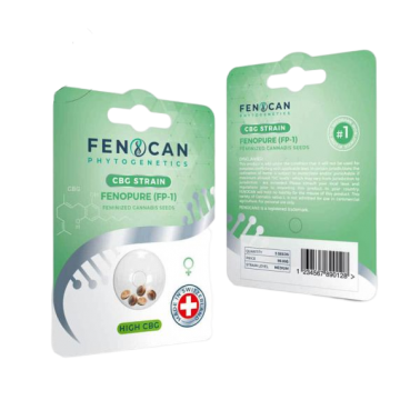 Semi di Fenocan Fenopure CBG 3Stk FENOCAN Prodotti