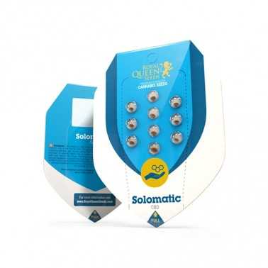 Royal Queen Seeds Solomatic CBD Graines 5 pc Royal Queen Seeds Prodotti