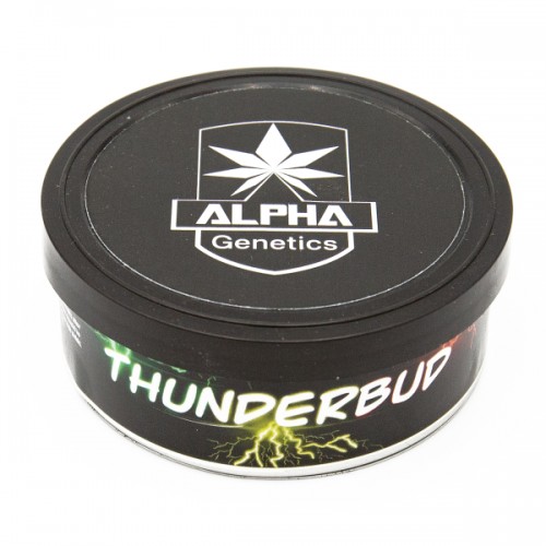 Alpha Genetics Thunderbud Graines 10pcs Alpha Genetics Produits