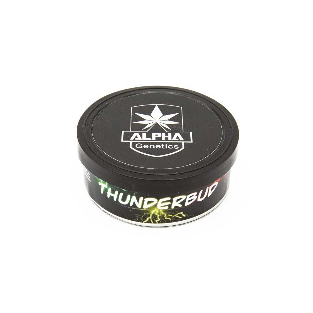 Alpha Genetics Thunderbud Semi 10pcs Alpha Genetics Prodotti