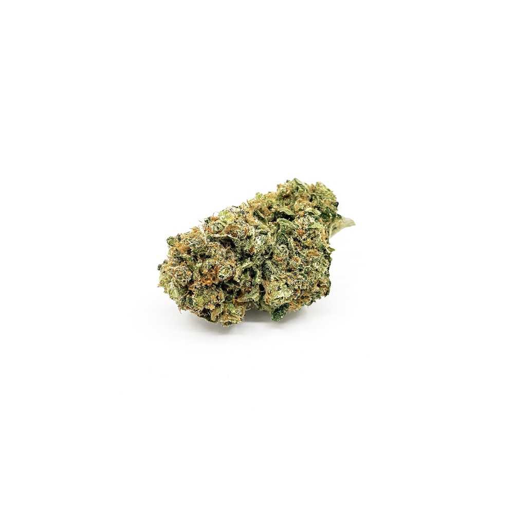 Seeds High Level Genetics Melonade 3pcs  Products