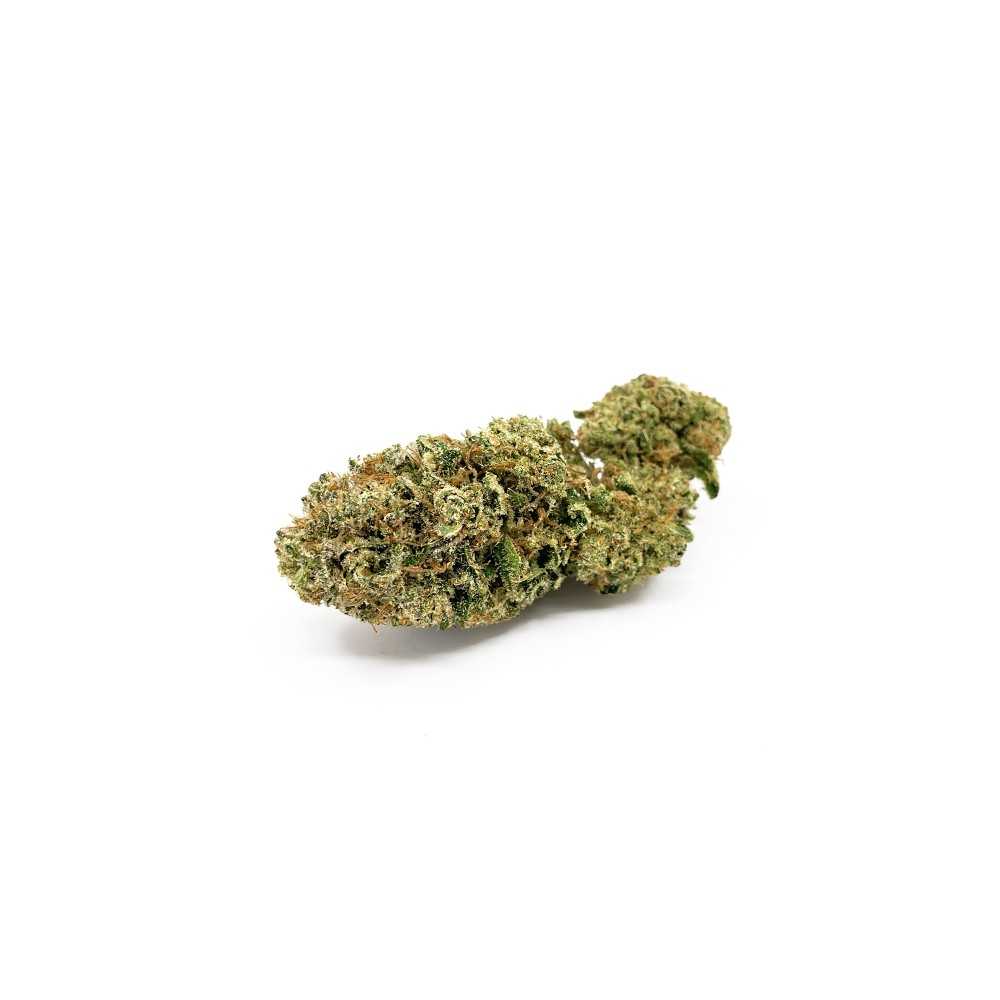 Samen High Level Genetics Shiny Flake 3pcs  Produkte