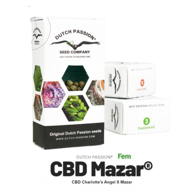 10 Samen Dutch Passion CBD Mazar Dutch Passion Produkte