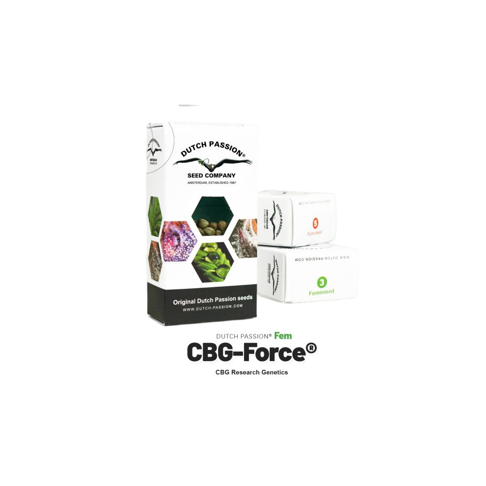 3 Samen Dutch Passion CBG Force Dutch Passion Produkte