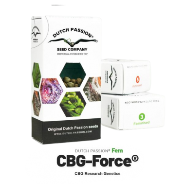 3 Semi Dutch Passion CBG Force Dutch Passion Prodotti