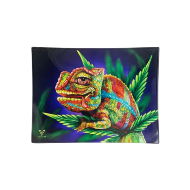 V Syndicate vassoio in vetro S Cloud 9 Chameleon V Syndicate  Prodotti