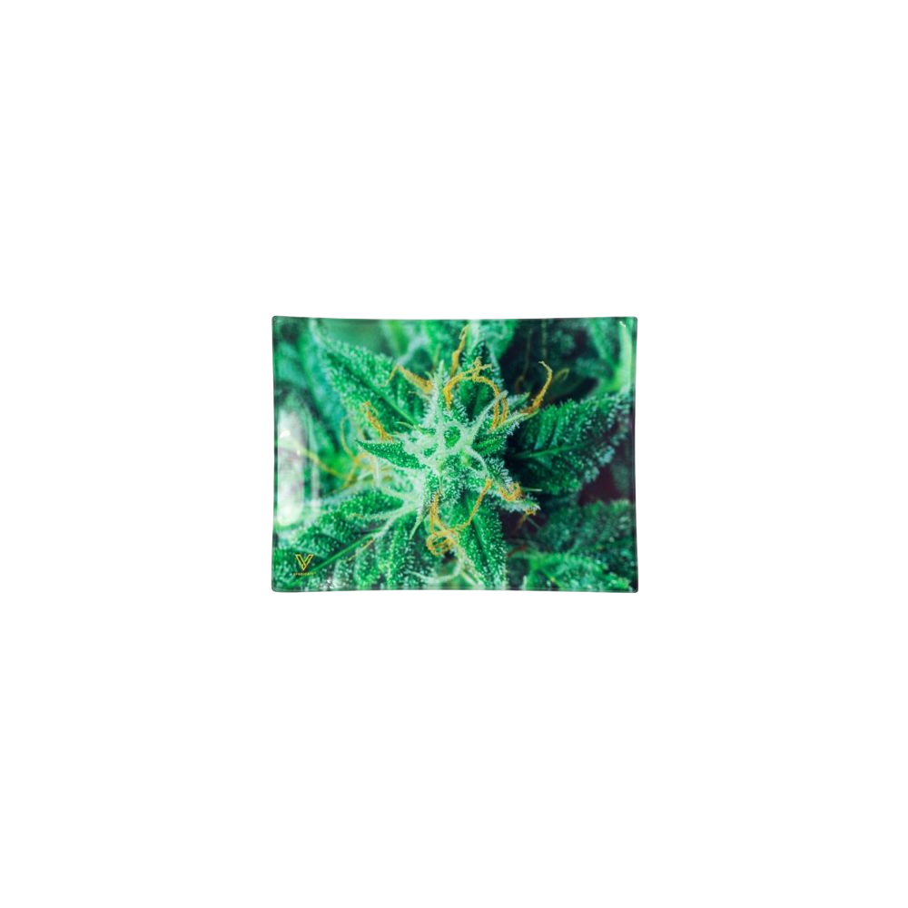 V Syndicate Glass tray S AK47 V Syndicate  Products