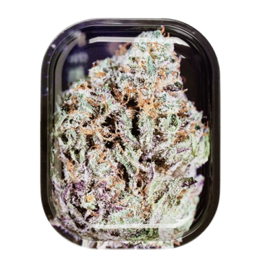 V Syndicate Plateau à rouler S/M Souche Bubba Kush V Syndicate  Produits