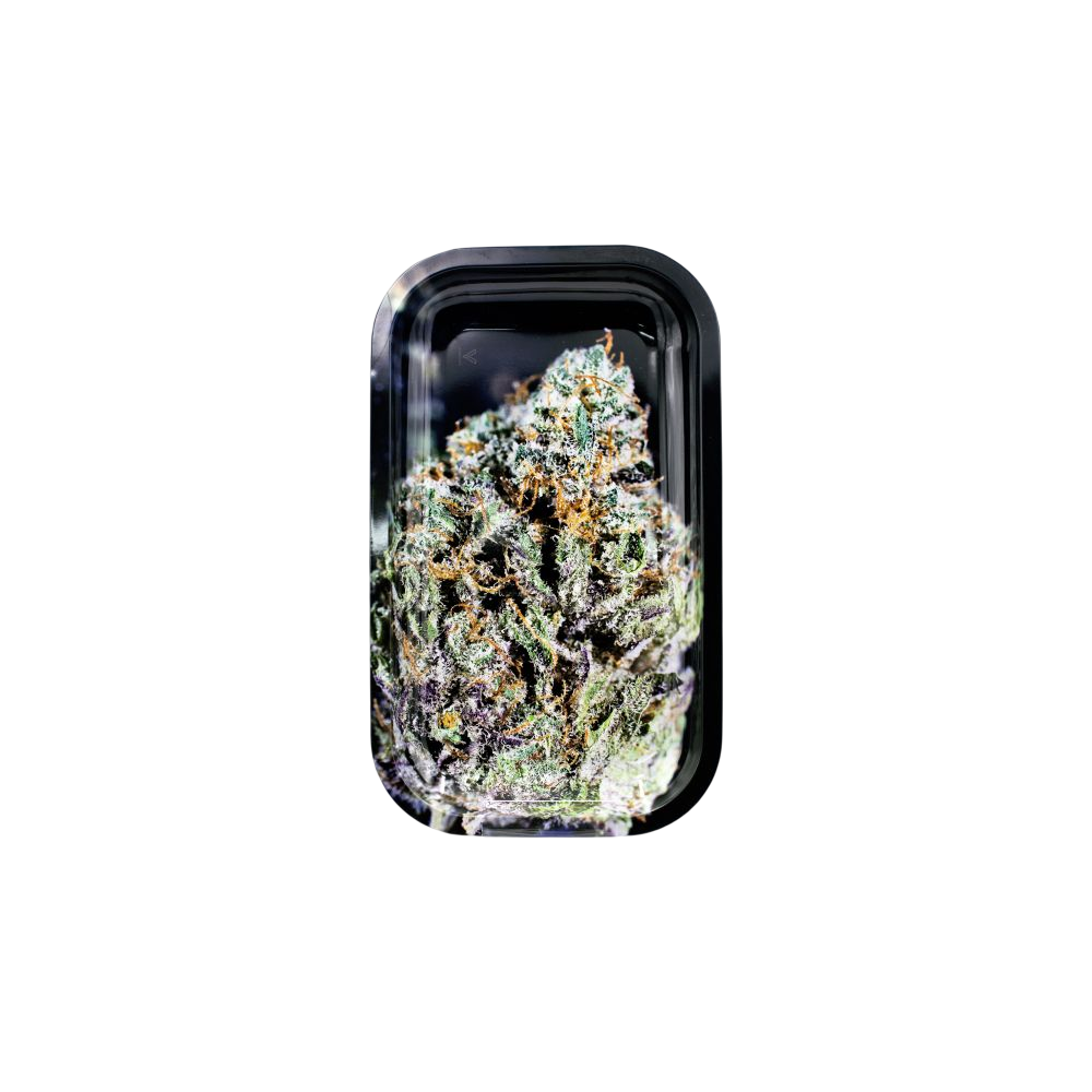 V Syndicate Vassoio di rotolamento S/M Ceppo Bubba Kush V Syndicate  Prodotti