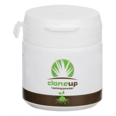 Polvere di cloneup Clone Up Ormone da taglio