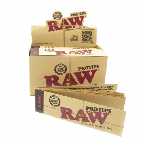 Carton Raw Protips (24 pièces) RAW Filtres