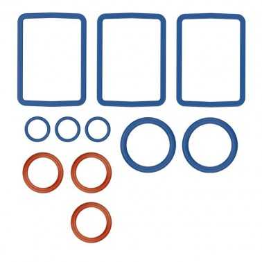 Set di guarnizioni Venty Storz & Bickel 4 pezzi Storz & Bickel Vaporizzazione