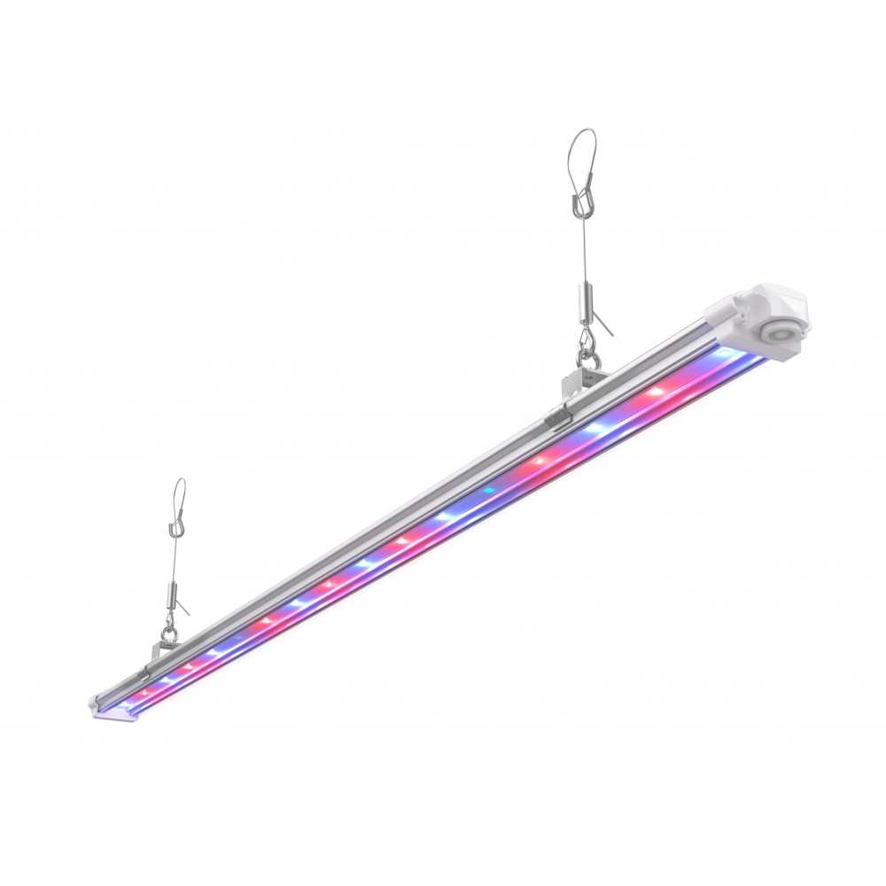BEFESTIGUNG BOOST UV UNIVERSAL FOG Futur Of Grow  Led-Lampe