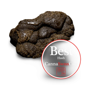 Hash CBD Swiss Premium Pollen "Ketama Gold" Winner Cup 2024 5g Swiss Premium Pollen Produkte