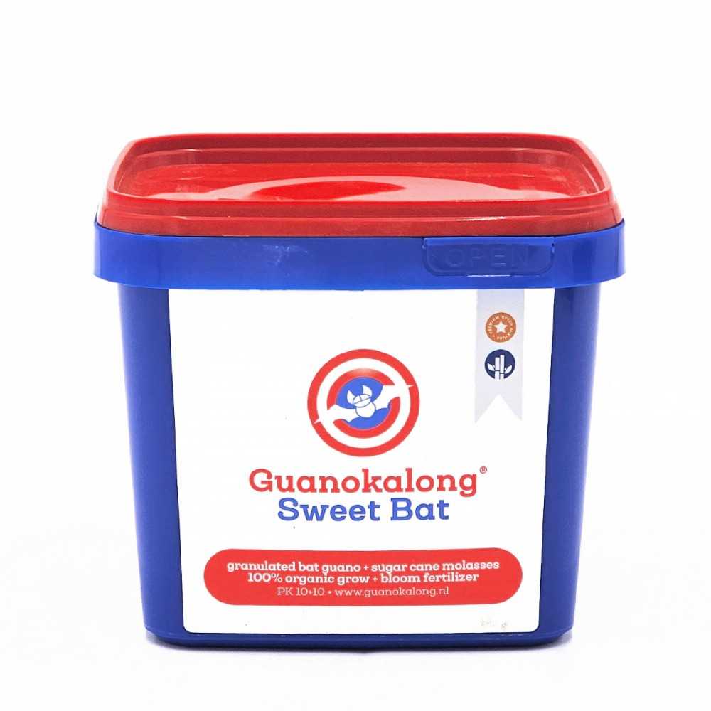 GuanoKalong Pipistrello dolce Guanokalong Prodotti