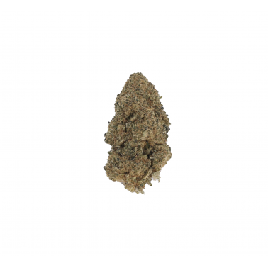 CBD-Blüten LBV "Tonic 23" Indoor 1g LBV Produkte