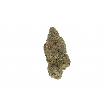 Fleurs de CBD LBV "The White" Indoor 1g LBV Produits