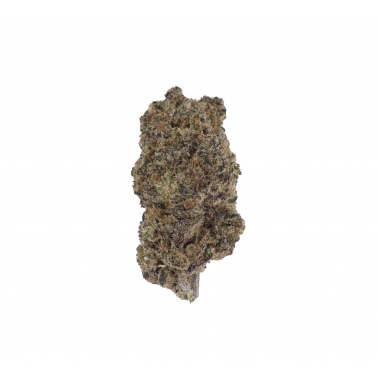 Fiori di CBD LBV "Purple Urkle" Indoor 1g LBV Prodotti
