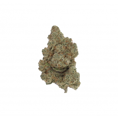 CBD-Blüten LBV "Orangelo" Indoor 1g LBV Produkte