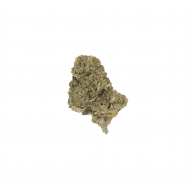 LBV CBD "Amnesia Haze" Indoor 1g LBV Products
