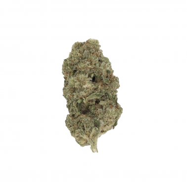 Fiori di CBD LBV "Super Silver Haze" Indoor 1g LBV Prodotti