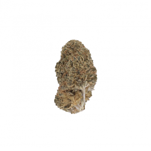 LBV "Zushi" Indoor CBD Flowers 1g LBV Products