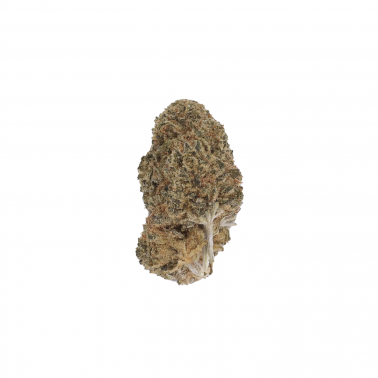 CBD-Blüten „ LBV “ „Zushi“ Indoor 1 g LBV Produkte