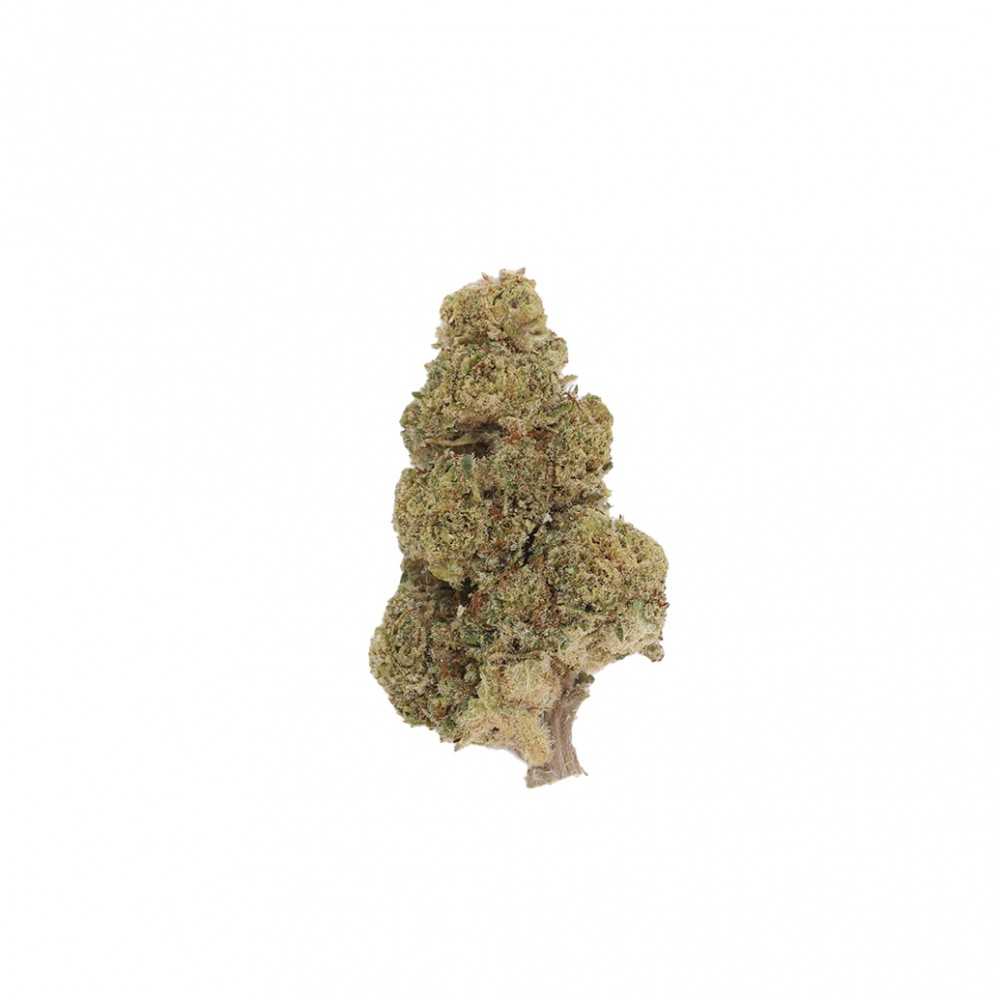 Fleurs de CBD LBV "Amnesia Snow" Indoor 1g LBV Produits